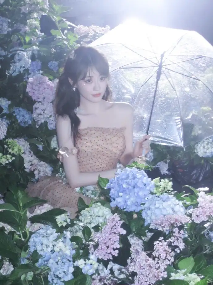 全球社交媒体使用数据对比